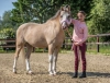 Wintercollectie - Trainingsshirt Loulou Harry's Horse Sölden